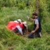 Ambiente, il Progetto Boschi di E.ON supera i 150.000 alberi piantati