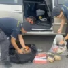Porto di Civitavecchia, maxi sequestro di tabacco proveniente dall’Algeria