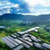 La Cina promuove lo sviluppo di reti elettriche di nuova generazione